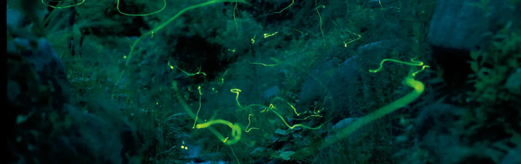 みなかみの豊かな四季折々の絶景ポイント