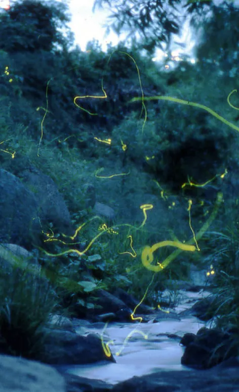 みなかみの豊かな自然景観